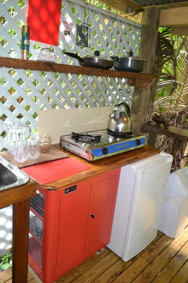 Rainforest Hideaway Cape Tribulation Exterior foto